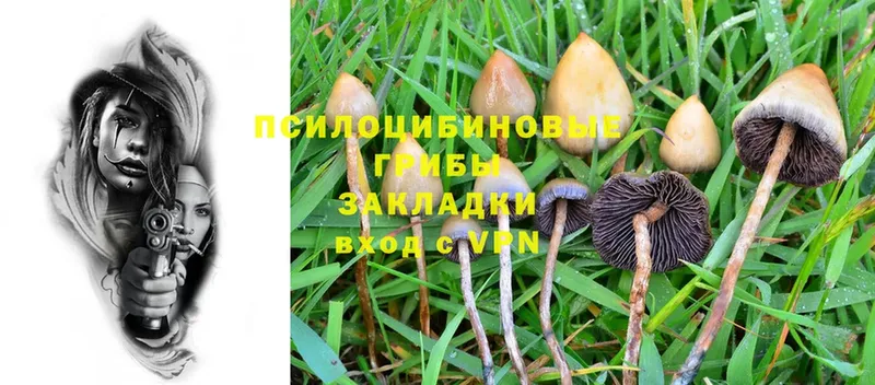 Галлюциногенные грибы Psilocybine cubensis  где купить наркоту  Болгар 